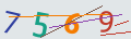 verifycode